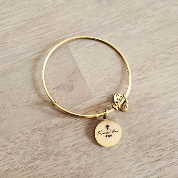 Alex & Ani Young And Strong Bracelet - Picture 2 of 2